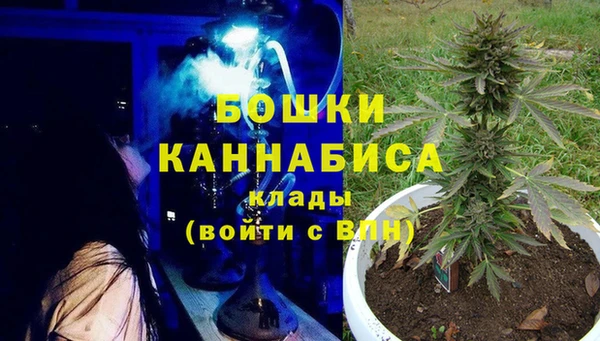 спиды Каменка