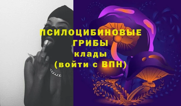 кокаин премиум Каменск-Шахтинский