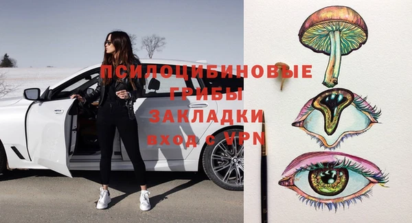 шишки Карпинск