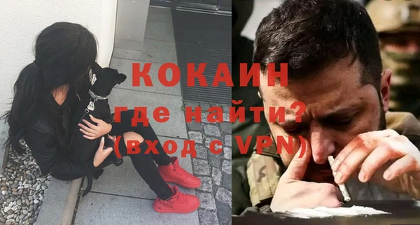 шишки Карпинск