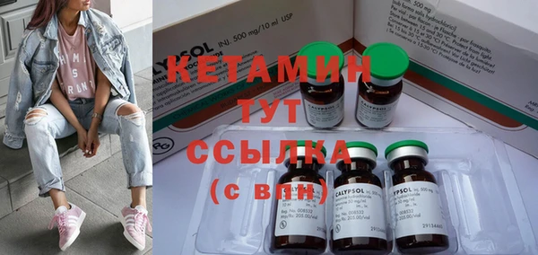 шишки Карпинск
