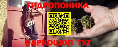 стаф Малгобек