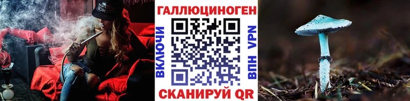 Псилоцибиновые грибы Psilocybine cubensis  закладки  Торжок 