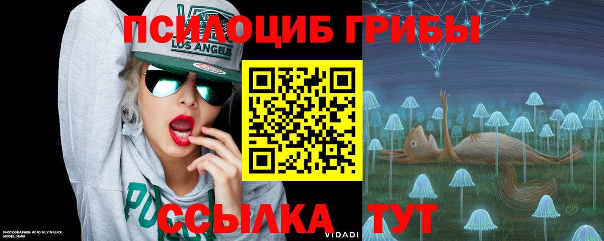 Псилоцибиновые грибы Psilocybe  Псилоцибиновые грибы Magic Shrooms  Вход с VPN  Торжок 