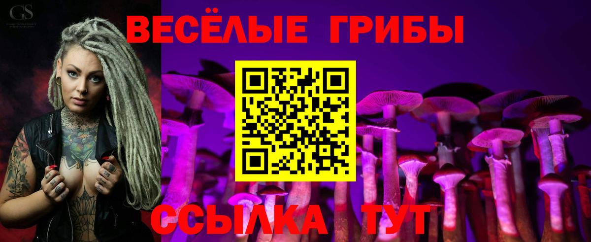 Галлюциногенные грибы MAGIC MUSHROOMS  Галлюциногенные грибы GOLDEN TEACHER  Вход с VPN  Торжок 